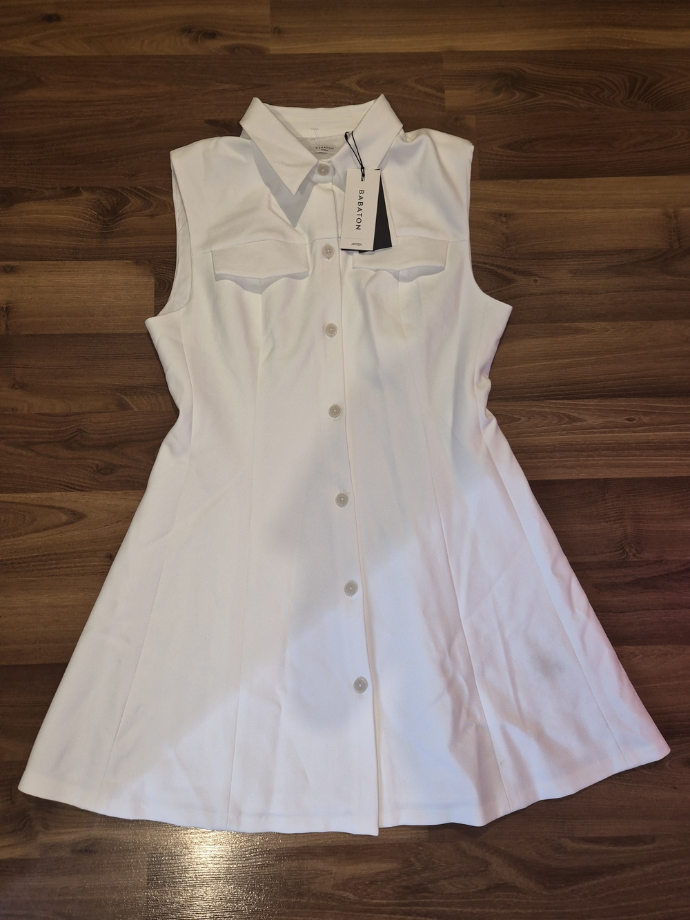 Aritzia Babaton Moxie Dress
